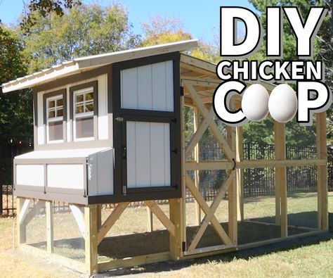 Chicken Coop Building Plans, Chicken Coop Designs Diy, Chicken Coop Plans Free, Cheap Chicken Coops, Backyard Chicken Coop, Small Chicken Coops, Walk In Chicken Coop, Easy Chicken Coop, Backyard Chicken Coop Plans