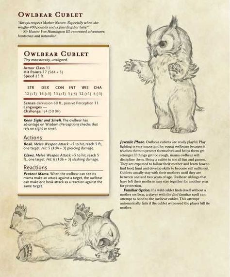 Homebrew Familiar Dnd, Dnd Homebrew Companions, Dnd 5e Homebrew Familiars, Dnd 5e Homebrew Pets, Dnd Homebrew Animals, Familiar Dnd 5e, Fox Familiar Dnd, Dnd Cute Monsters, Find Familiar Dnd