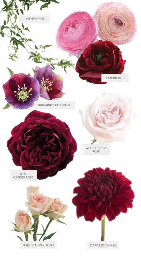 Wedding Flowers Hydrangea, Burgundy Bouquet, Flower Guide, Photography Flowers, Flower Centerpieces Wedding, Burgundy Flowers, Trendy Flowers, Pink Bouquet, Deco Floral