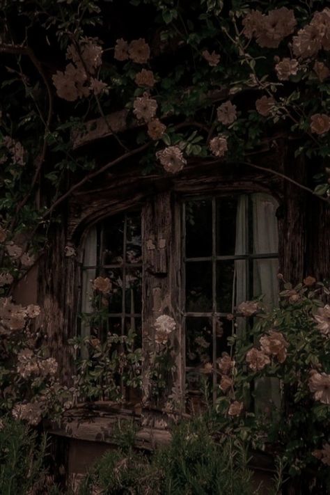 Cottage Core House Aesthetic, Cottage Core Room, Cottage Core House, Forest Cottage, The Cruel Prince, Forest Core, Fairy Village, Black Fairy, Holly Tree