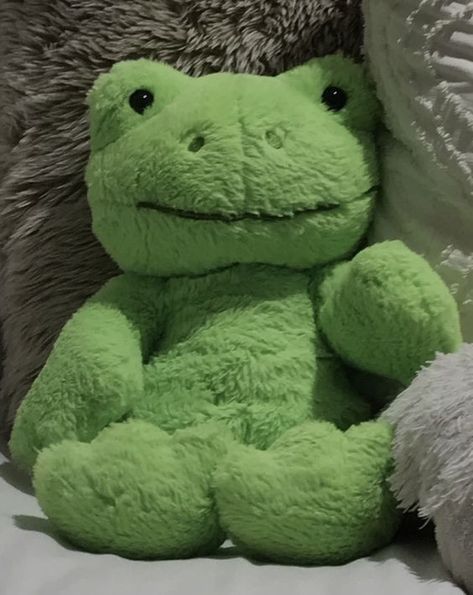 Frog Stuffed Animal, Green Frog, What Matters Most, Stuffed Animal, Save Money, Insurance, Money, Bed, Green