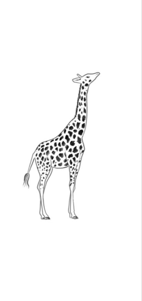 Giraffe Tattoo Stencil, Fineline Giraffe Tattoo, Zookeeper Tattoo, Fine Line Giraffe Tattoo, Simple Giraffe Tattoo, Giraffe Tattoo Design, Small Giraffe Tattoo, Giraffe Tattoo, Small Bird Tattoos