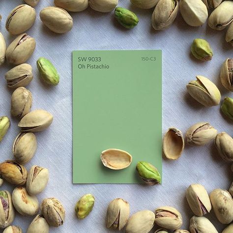 Break out of your shell with our bold new green hue, Oh Pistachio SW 9033. Color Pistache, Roc Nation, Pistachio Color, Paint Color Inspiration, House Items, Green Paint Colors, Sherwin Williams Paint Colors, Colour Inspiration, Pistachio Green