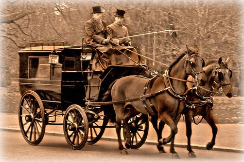 London St James Park | An Victorian period horse-carriage wi… | Flickr Horse Carriage Aesthetic, Carriage Aesthetic, Malta History, Victorian Horse, Unique Vehicles, Victorian Parlor, Carriage Driving, St James Park, Uk History