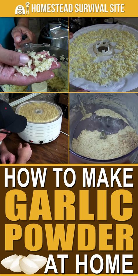 Garlic Powder Recipe, Diy Seasonings, Homestead Tips, Dehydrated Garlic, Dehydrating Food Storage, How To Make Chili, Herb Storage, Homemade Seasoning, Homestead Kitchen