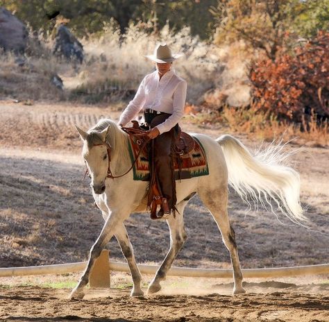 Western Dressage Attire, Western Dressage, Mode Country, Ranch Riding, Country Bumpkin, Dressage Training, Wolf Creek, Equestrian Helmet, Horse Inspiration