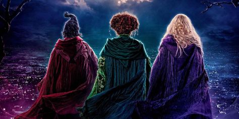 Hocus Pocus Cover Photo Facebook, Jackolantern Ideas, Hermanas Sanderson, New Hocus Pocus, Hocus Pocus 1993, Hocus Pocus Movie, Kathy Najimy, Sarah Sanderson, The Sanderson Sisters