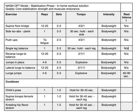 Time To Drink Water, Study Exam, Mens Body Types, Corrective Exercises, Full Body Workout Plan, Workout Template, Personal Training Programs, Nasm Cpt, Exercise Science