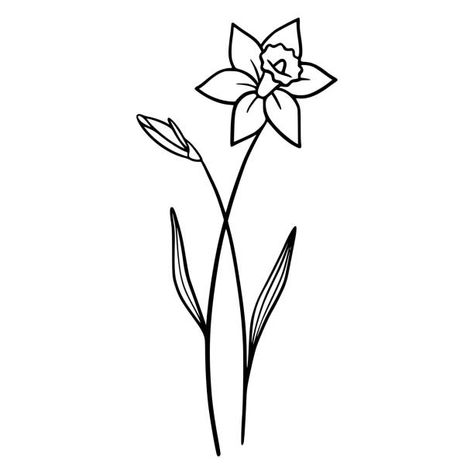 45 Black Silhouette Of Narcissus Flower. Vector Illustration Illustrations & Clip Art - iStock Narcissus Flower Tattoos, Flower Vector Illustration, Arm Sleeve Tattoos For Women, Daffodil Flowers, Daffodil Tattoo, Flower Line Art, Narcissus Flower, Silhouette Tattoos, Flower Silhouette