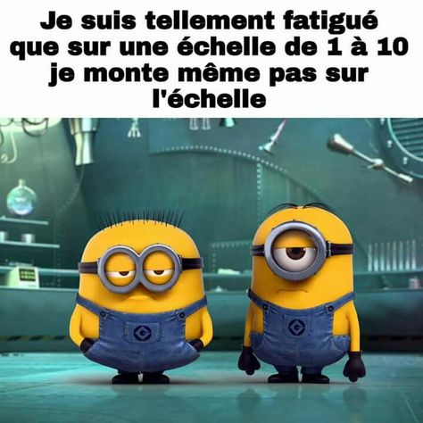 Toi même tu sais Minion Humour, Minions Images, Minion Jokes, Minions Quotes, Good Humor, Minions Funny, Amazing Quotes, Funny Photos, Funny Cute