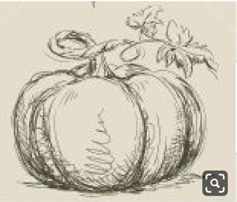 Drawing Pumpkins, Pumpkin Sketch, Creative Pumpkin Painting, Fall Drawings, Pumpkin Drawing, Fall Watercolor, Pumpkin Art, Autumn Painting, Chalkboard Art