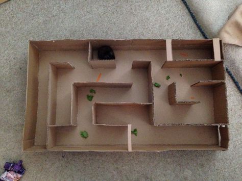 DIY cardboard hamster maze I made - cut up a TV box and used hot glue gun Diy Hamster Toys, Gerbil Toys, Hamster Maze, Diy Guinea Pig Cage, Diy Cardboard Toys, Cage Hamster, Hamster Diy, Hamster Life, Hamster Habitat