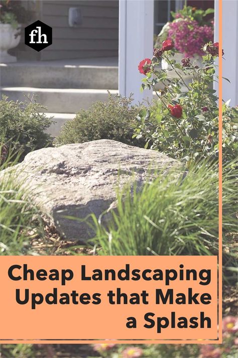 Revamp your landscape (and impress your neighbors) with these inexpensive updates. Cheap Landscaping, Front Yard, Landscaping, Yard, Plants, Flowers, Design