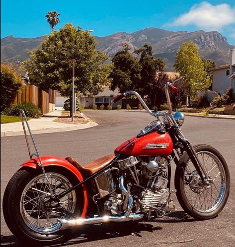 Panhead Bobber, Big Bear Choppers, Panhead Chopper, Concept Cars Vintage, Harley Panhead, Custom Motorcycles Bobber, Custom Paint Motorcycle, Custom Street Bikes, Harley Bobber