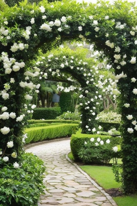 Enhance your outdoor space with beautiful climbing plants for arches and pergolas. Discover the best vines to grow on arches, adding a touch of elegance and color to your garden. Transform your arch trellis with vibrant flowering vines suitable for arbors. Create a stunning visual display with the most radiant and gorgeous plants perfect for adorning your arch trellis. Garden Arched Trellis Ideas, Pergola With Climbing Plants, Arbor Trellis Ideas, Vine Covered Pergola, Trumpet Vine Trellis, Backyard Redesign, Gorgeous Plants, Fast Growing Vines, Garden Archway