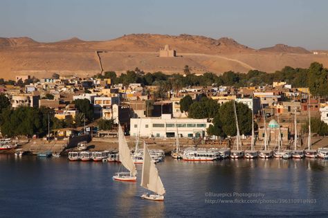 Elephantine Island, Nubian Village, Aga Khan, Water Bubbles, Egypt, Places To Go, Bubbles, Water, Travel