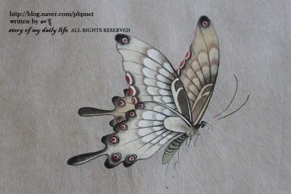 Chinese Butterfly, Vintage Tattoo Design, Nouveau Tattoo, Insect Tattoo, Korean Painting, Japan Tattoo Design, Japan Painting, Butterfly Species, Mid Century Illustration