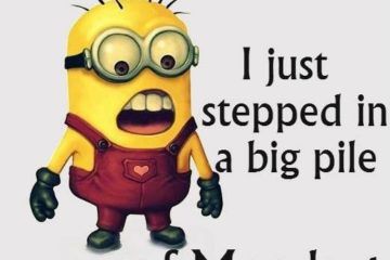 30 Funny Minion Quotes You Need to Read - Funny Motivational Quotes Humor Laughing, True Friends Quotes Funny, Funny Encouragement Quotes Hilarious Motivation, Minion Quotes Hilarious, Stupidity Quotes Funny, Minion Jokes Hilarious So True, Funny Quotes Minions Humor, Boredom Quotes, Good Morning Quotes Funny