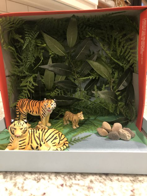 Easy tiger habitat diarama. Lots of greenery from the craft store and tiger figures. Bengal Tiger Habitat, Shoebox Diorama, Biomes Project, Tiger Habitat, Project Tiger, Diorama Kids, Ecosystems Projects, Habitats Projects, Zoo Project