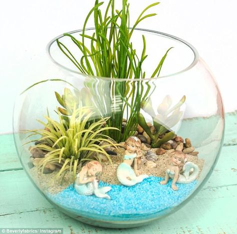 Terrarium Decor Ideas, Mermaid Bowl, Diy Fairy Garden Ideas, Mermaid Garden, Miniature Mermaid, Fairy Garden Terrarium, Diy Fairy Garden, Fairy Garden Ideas, Magical Mermaid