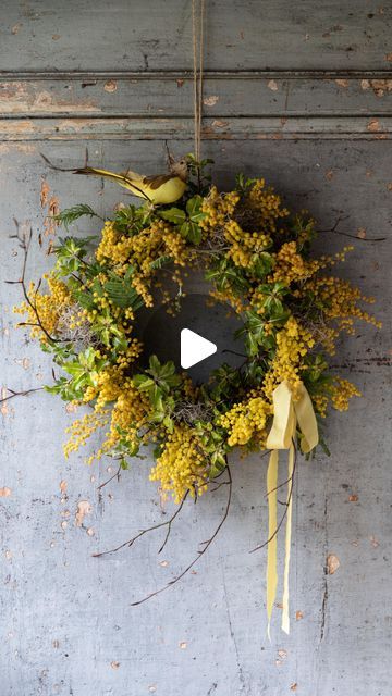 Janne Ford on Instagram: "A spring wreath with mimosa and pittosporum 🌿 I reused my Christmas wreath frame and twiggy bits with moss from the garden for the base 💛 #calledtobecreative #creativehappylife #gatherandcurate #inspiredbynature_ #theslowdowncollective #seekinspireandcreate #distractionsandinspirations  #dsfloral #petalsandprops #foreverfaffing #floralinspo #alittlebeautyeveryday #liveauthentic #thefloralseasons #flowerstalking #springwreath #easterwreath" Mimosa Wreath, Moss Wreath Diy, Christmas Wreath Frames, Moss Wreath, Wreath Frame, Frame Wreath, Craft Fair, Easter Wreaths, Diy Wreath