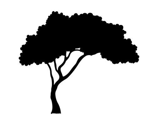 African Tree Silhouette, branch And Leaves Illustration. African Silhouette Art Animals, Safari Tree Silhouette, Silhouette Of Trees, African Tree Drawing, Tree Siloutte, Tree Shadow Drawing, Tree Silloutes, African Silhouette Art, Tree Silhouette Drawing