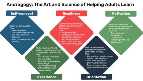 Andragogy: Adult Learning Theory - Instructional Design Australia Management Notes, Corporate Leadership, Sharepoint Design, Adult Learning Theory, Motivation Theory, Types Of Learners, English Teaching Resources, Leadership Skill, Workforce Development