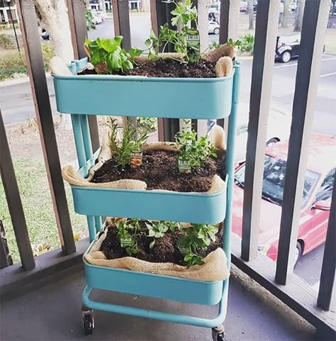 Tiny Balcony Garden Ideas, Tiny Balcony Garden, Paint A Pot Ideas, Apartment Herb Gardens, Ikea Trolley, Raskog Ikea, Diy Home Decor Kitchen, Paint A Pot, Ikea Cart