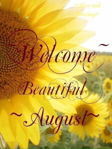 Time flies when you’re having fun!What happened to June and July? August Month Quotes, Welcome August Quotes, Hello August Images, New Month Wishes, August Pictures, August Images, Neuer Monat, Hello Good Morning, Welcome August