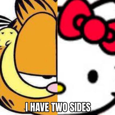 Garfield Reaction Pictures, Garfield Icons Pfp, To Be Loved Is To Be Changed Garfield, Garfield X Hello Kitty, Garfield Hello Kitty, Hello Kitty Garfield, Hello Kitty And Garfield, Garfield And Hello Kitty, Two Sides Of Me