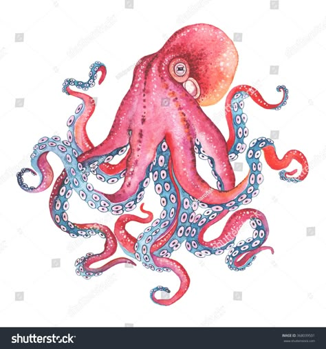 Squid Drawing Cute, Octopus Art Project, Octopus Watercolor Painting, Squid Drawing, Octopus Colors, Watercolor Octopus, Octopus Watercolor, Underwater Drawing, Kraken Art