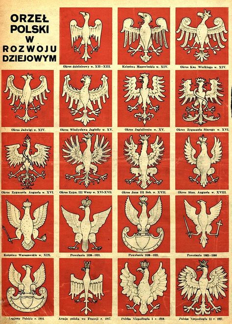 Evolution of the Polish Eagle's design from 12th century to the year 1927, drawing published in “Światowid” magazine, 1935 [source]. Polish Hussars, Polish Tattoos, Polish Flag, Polish Winged Hussars, Polish Eagle, Poland History, Polish Traditions, Visit Poland, Polish Language