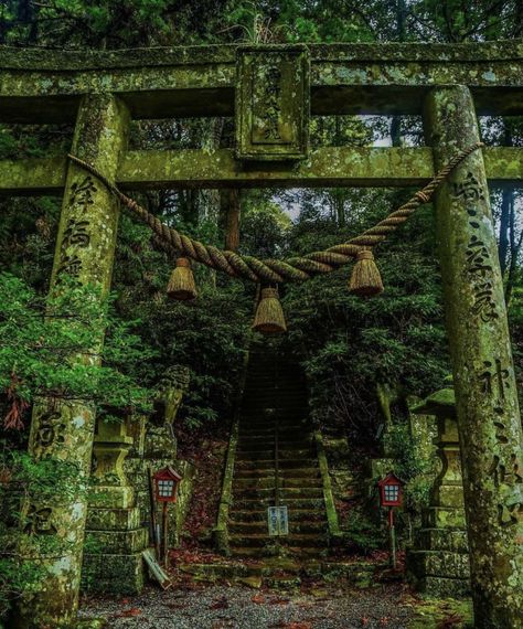 Beppu, Japanese Temple Aesthetic, Fantasy Shrine, Shinto Temple, Japanese Temples, Japanese Buildings, Japanese Nature, Japanese Shrine, Japanese Temple