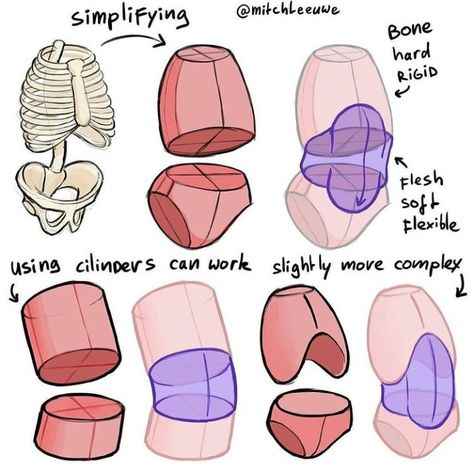 Stylized Anatomy, Studying Anatomy, Mitch Leeuwe, Drawing Resources, Drawing Anatomy, Human Body Drawing, Anatomy Tutorial, Human Anatomy Drawing, Body Drawing Tutorial