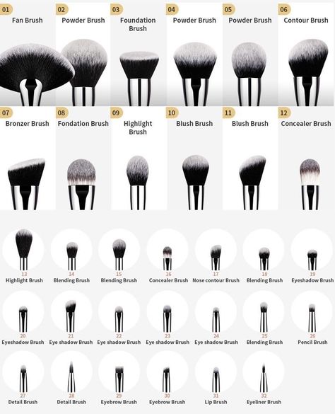 Brushes Uses Makeup, Brush Guide Makeup, Blending Eyeshadow Brush, Contour Makeup Brushes, Type Of Brushes Make Up, Different Brushes For Makeup, Small Blending Brush, What Each Makeup Brush Is For, Face Makeup Brushes Guide