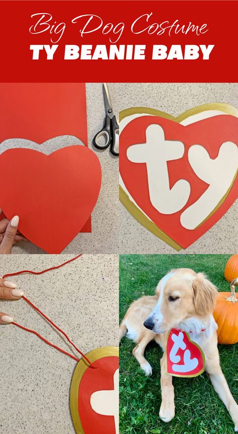 Ty Dog Costume Diy, Ty Dog Costume, Ty Beanie Baby Costume, Ty Costume, Beanie Baby Costume, Big Dog Halloween Costumes, Baby Dog Costume, Golden Retriever Cocker Spaniel, Big Dog Costumes