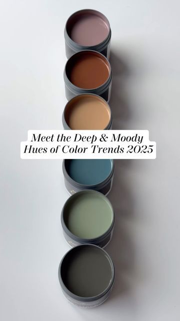 Benjamin Moore on Instagram: "Envelop your space in the moody hues from the #ColorTrends2025 palette, including the Color of the Year 2025, Cinnamon Slate 2113-40. Whether you choose a cider-like brown like Chowning’s Tan CW-195 or a jewel tone like Stained Glass CSP-685, you’ll be setting a dramatic and sophisticated tone throughout your home. Watch above to discover their beauty, then visit our website or a locally owned store to purchase a color sample. #BenjaminMoore #Paint #Home #InteriorDesign #ColoroftheYear" Benjamin Moore Crisp Romaine, Burnt Orange Blush Color Palette, Benjamin Moore Stained Glass Paint, Cinnamon Slate Color, Stained Glass Benjamin Moore, Moody Earth Tones Color Palette, Warm Moody Color Palette, Moody Spring Color Palette, Moody Home Color Palette