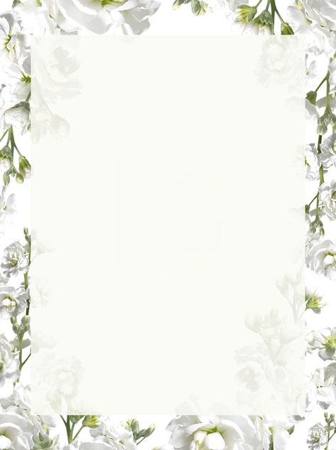 Summer Pure White Flowers Background Material Poster White Flower Border, Free Printable Borders, White Flowers Background, White Floral Background, White Flower Background, Hello Quotes, Rose Texture, Picture Borders, Marco Vintage