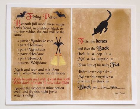 Who's ready for a spell binding good time this Halloween? These Hocus Pocus Magical Potions are the ultimate spooky cool craft for both kids and adults! Hocus Pocus Spells Printable, Black Flame Candle Printable, Hocus Pocus Black Flame Candle, Spell Book Printable, Halloween Cubicle, Apothecary Ideas, Song Diary, Hocus Pocus Decorations, Hocus Pocus Book