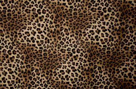 Speckled. Tissue such as the spotted leopard #Sponsored , #SPONSORED, #AD, #Speckled, #spotted, #leopard, #Tissue Cheetah Print Wallpaper Laptop, Glamour Wallpaper Laptop, Pc Walpaper, Cheetah Pictures, Macbook Air Wallpaper, Bath Runner Rugs, Animal Print Background, Pc Wallpapers, Leopard Fabric