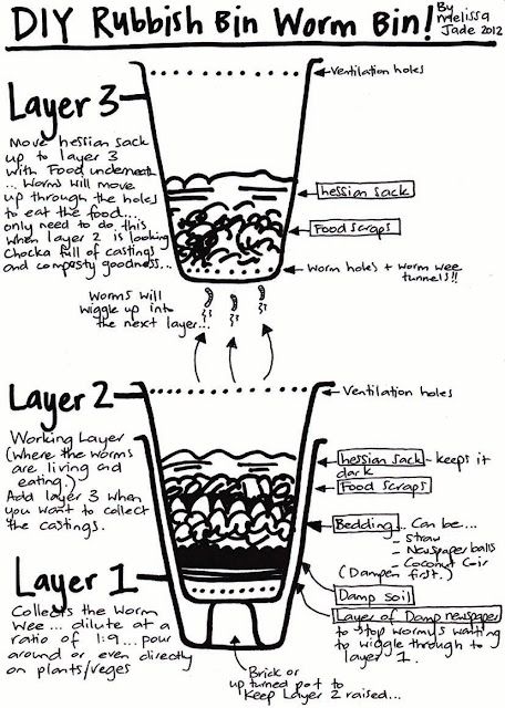 Diy Worm Farm, Worm Farm Diy, Worm Beds, Worm Bin, Red Worms, Painting The Roses Red, Worm Composting, Composting At Home, Moon Girl