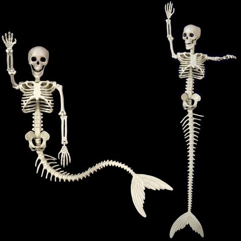 【Great Size for Needs】: The mermaid Halloween skeleons are 33Inches tall, which make your holiday more funny, the unique design will be cool to dress them up for every holiday. 【Posable Joints Skeletons】: These two mermaid Halloween skeletons are constructed to provide a range of motion for placing the arms and the tail of the skeleton in any positions Scary Mermaid, Halloween Party Backdrop, Spooky Dinner, Halloween Themes Decorations, Mermaid Skeleton, Pirate Decor, Fish Skeleton, Chinese Valentine's Day, Haunted House Party