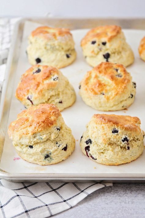 The Baker Upstairs: Huckleberry Scones Recipes With Huckleberries, Huckleberry Scones, Classic Scones Recipe, Huckleberry Recipes, Foraging Recipes, Rhubarb Recipes, Scone Recipe, Scones, Food Print