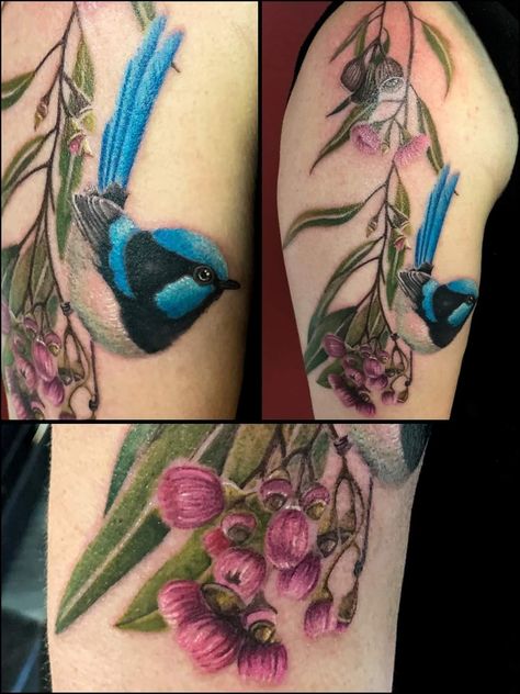 Artist Morgan Gray Blue Wren Tattoo, Australian Native Bird Tattoo, Australian Bird Tattoos For Women, Blue Bird Memorial Tattoo, Bluebird With Flowers Tattoo, Blue Fairy Wren Tattoo, Blue Fairy Wren Watercolour, Blossom Tattoo, Wren