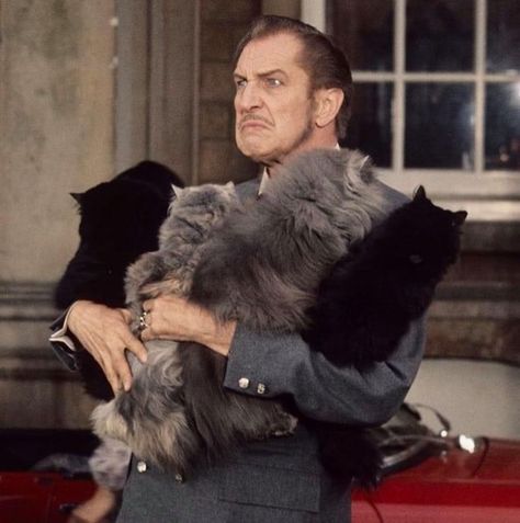 Hammer Horror Films, Vincent Price, Davy Jones, Classic Horror Movies, Stanley Kubrick, Cat People, Classic Horror, Horror Films, Cat Lady