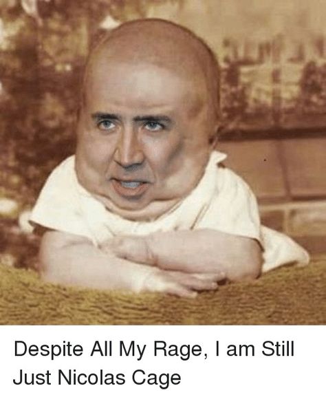 Baby Sticker, Nicolas Cage, Desktop Background, Templates Free, Sticker Vinyl, Bumper Sticker, I Know, Funny Memes, Vinyl