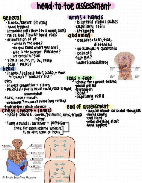 Nursing School Assessment, How To Write Nursing Notes, Cpr Notes Pretty, Safety Nursing Notes, Meal Prep Nursing School, Nurse Must Haves Student, Focused Assessment Nursing, Introduction To Nursing Notes, 1st Day Of Nursing School