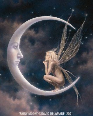 Fairies Photos, Moon Fairy, Fairy Dragon, Fairy Pictures, Fairy Artwork, Fairy Tattoo, Fairies Elves, Fairy Magic, Beautiful Fairies