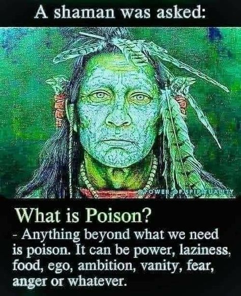 What Is Poison, Native American Wisdom, General Quotes, Shamanic Healing, Awakening Quotes, Proverbs Quotes, Genius Quotes, Healing Words, Philosophy Quotes