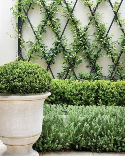 French Themed Garden Ideas: How To Design Your Own Beau Jardin 6 Side Return Garden Ideas, Side Return Garden, Small Garden Inspiration, Boxwood Landscaping, French Country Garden Decor, Courtyard Landscaping, Diy Garden Trellis, Country Garden Decor, French Country Garden